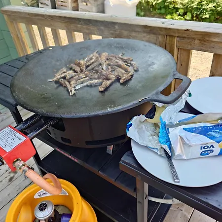 Granbacka Raasepori Finland