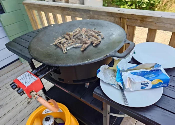 Granbacka Raasepori Finland