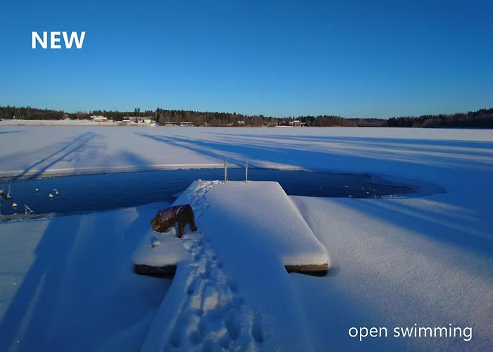 Granbacka Raasepori Finland Шале